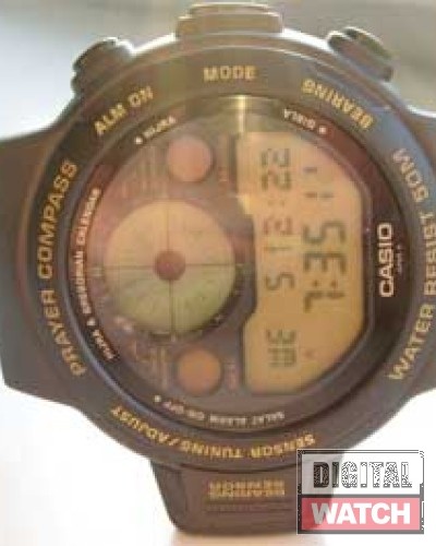 CASIO-CPW-310