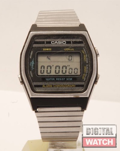 CASIO-W-21