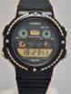 CASIO-HGW-10