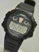 CASIO-DGW-30