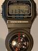 CASIO-WW-31