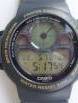 CASIO-CPW-310