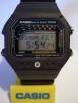 CASIO-TS-1200