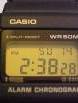 CASIO-WN-10