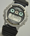 CASIO-TGW-100