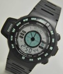 CASIO-CPW-100