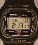 CASIO-DW-310