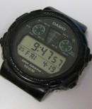 CASIO-DGW-30