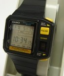 CASIO-JP-100W