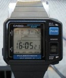 CASIO-CASIO JP-100W
