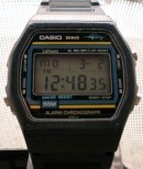 CASIO-W-24-A