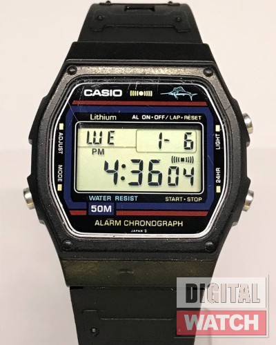 CASIO-W-24